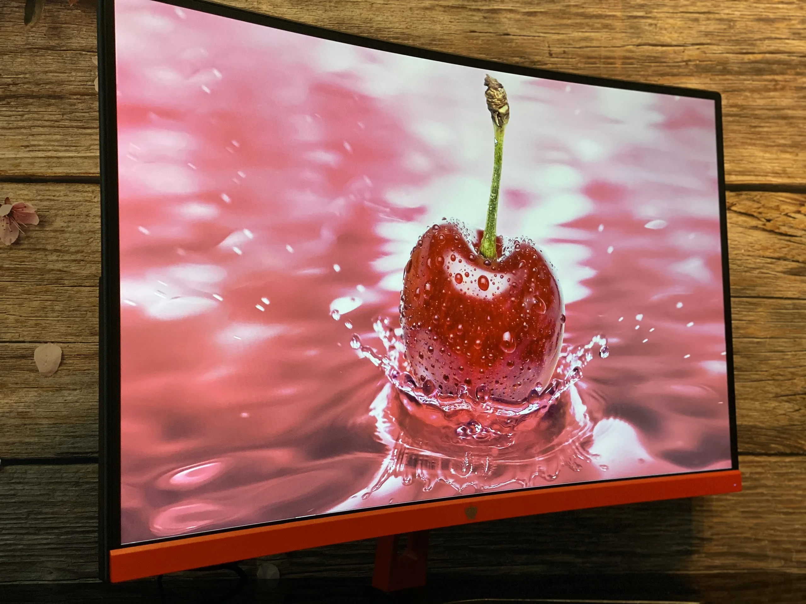 z1655371398645_8951bc0a2d026ffb259fe364c3b19da6