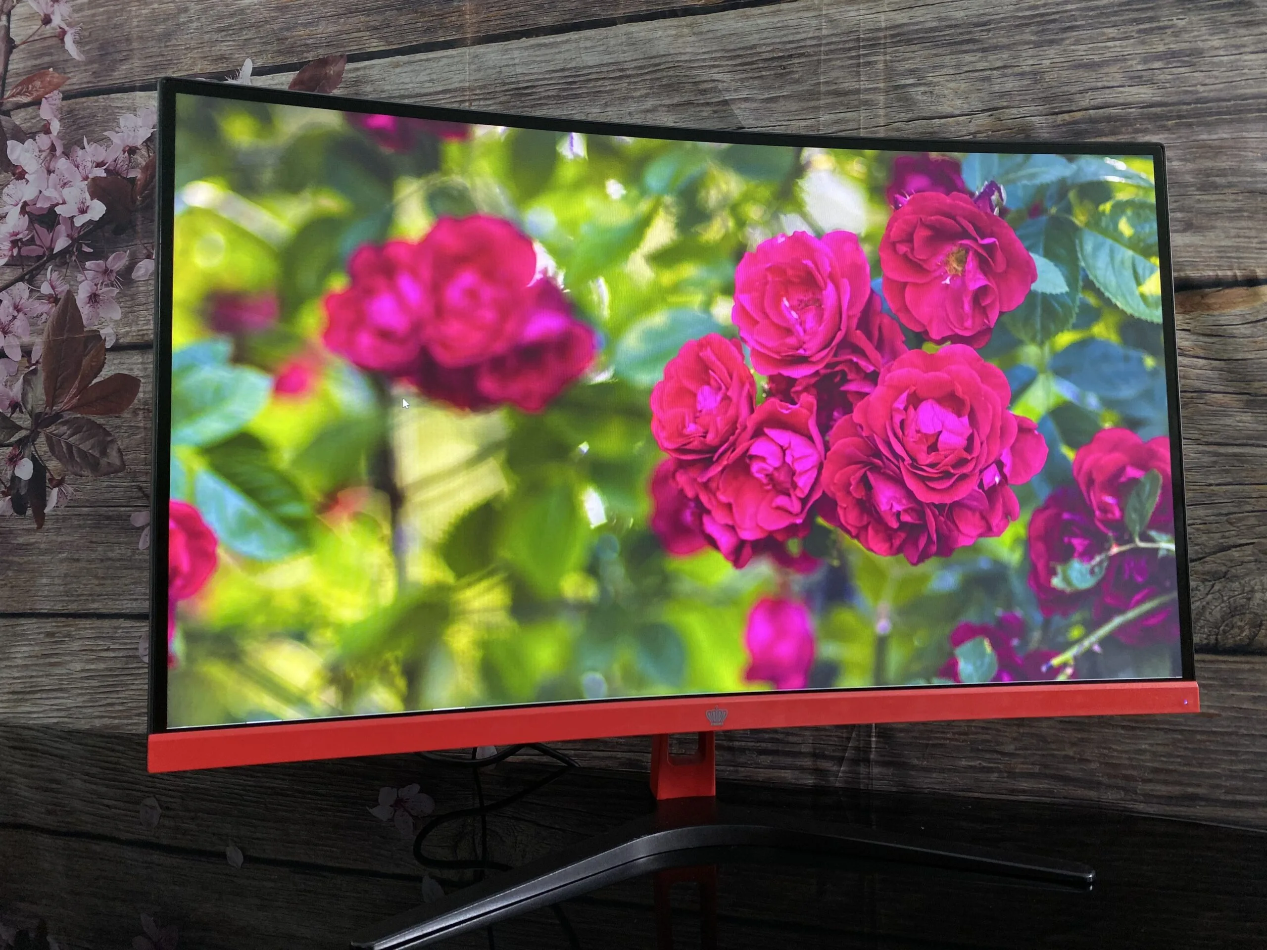 z1655371485137_bcb66c99fe922c759b1da9f94aeb8f08