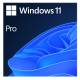 win 11 pro